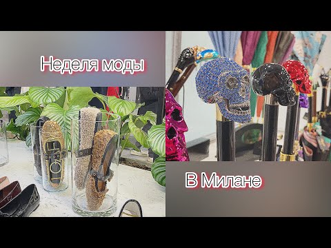 Видео: Неделя моды в Милане❣️что предлагают бренды в этом сезоне@zvezdamojaludi