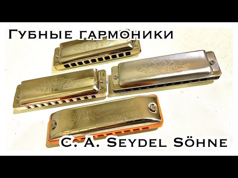 Видео: Губные гармоники Seydel Session Steel, 1847 silver, classic, noble