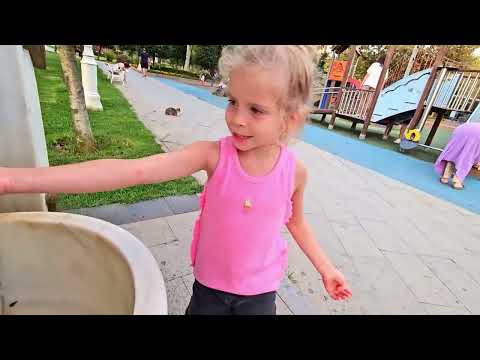 Видео: Стамбул ✅ август 2025