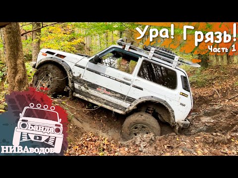 Видео: Ура! Грязь!