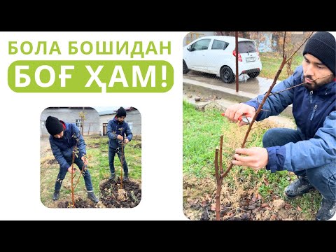 Видео: 45 ДАҚИҚАЛИК КОНСУЛЬТАЦИЯГА ТАКЛИФ ҚИЛАМИЗ!
