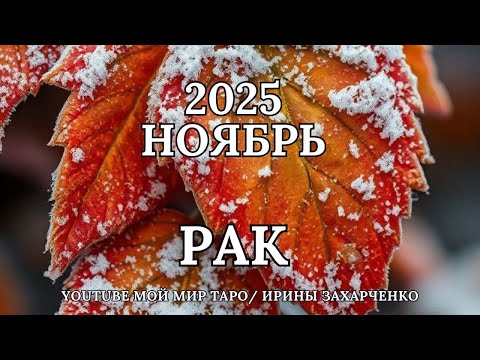 Видео: РАК ♋🍂НОЯБРЬ 2025 🍁Таро прогноз для Раков/Tarot forecast for Cancer.