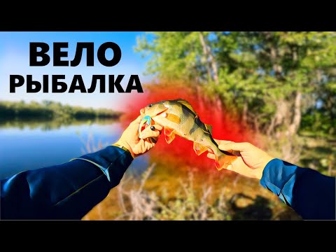 Видео: Рыбалка на КАРЬЕРАХ на велосипеде