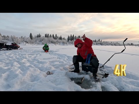 Видео: ЛУНКИ ЗАБИТЫ РЫБОЙ | СУМАСШЕДШИЙ КЛЕВ | ЖИВЕМ В ПАЛАТКЕ ЗИМОЙ КАК ДОМА!