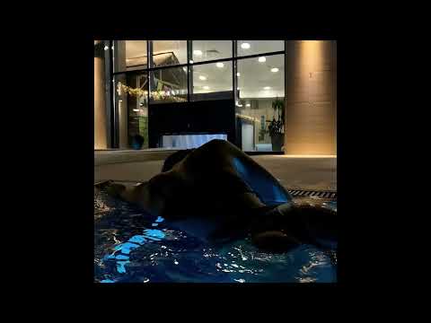 Видео: [FREE] PUSSYKILLER x WHITE GALLOWS x КРИСПИ Type Beat "Строчки"