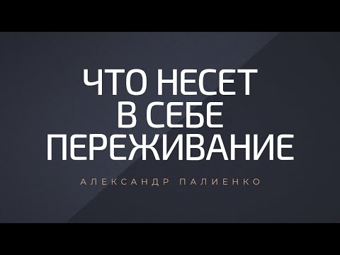 Видео: Что несет в себе переживание. Александр Палиенко.