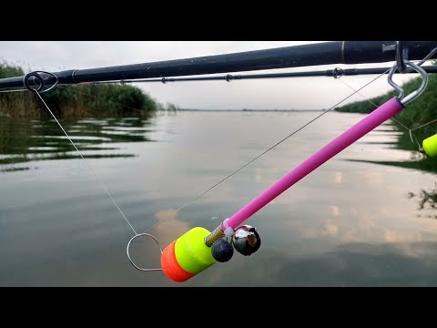 Видео: Сазан и Карп с под камыша на ОЗЕРЕ . подводная сьемка