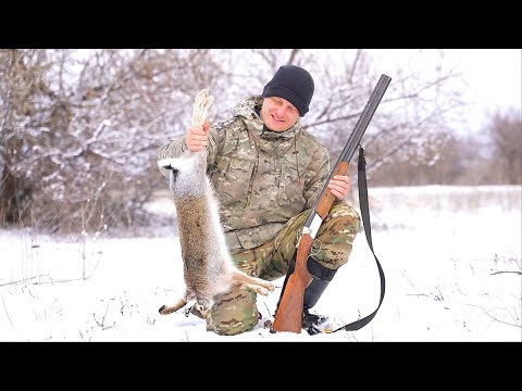 Видео: Охота на зайца. ОДНА ДРОБИНА ВСЁ РЕШИЛА. Выпал первый снег 2021. Тропление зайца.
