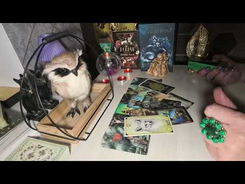 Видео: 🔥🤷Упрашивает выслушать🔥. Что так рвет его душу на части🔥🤷