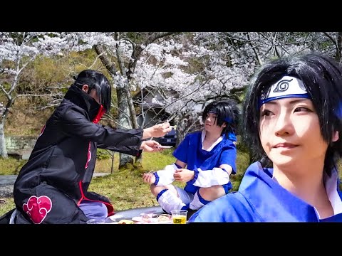 Видео: Созерцание сакуры близких братьев