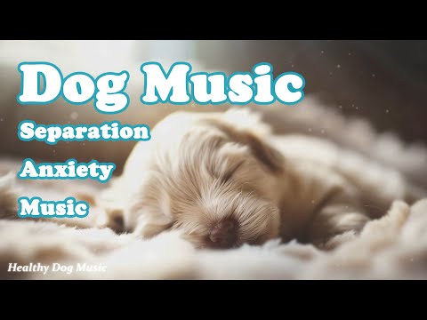 Видео: Музыка для глубокого сна у собак💖Музыка для снятия тревожности при разлуке с собакой