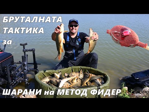 Видео: ПОДРОБЕН ФИЛМ за РИБОЛОВА на ШАРАНИ с МЕТОД ФИДЕР- МОНТАЖИ, ЗАХРАНКИ , СТРЪВ и ТОП СЪВЕТИ от TROSHAN