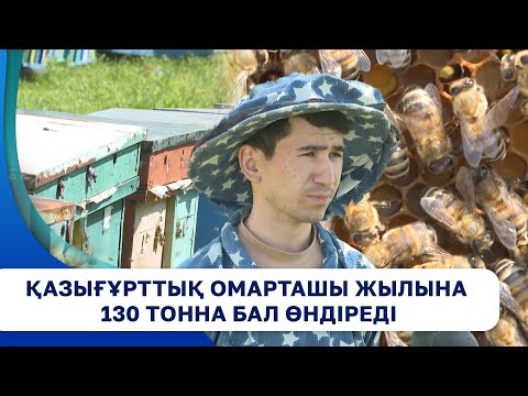 Видео: Қазығұрттық омарташы жылына 130 тонна бал өндіреді
