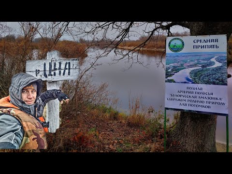 Видео: РЫБАЛКА на  реке ПРИПЯТЬ в ноябре