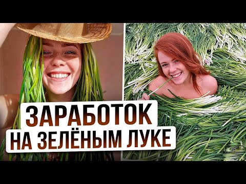 Видео: БИЗНЕС НА ЗЕЛЕНОМ ЛУКЕ | Выращивание лука на перо