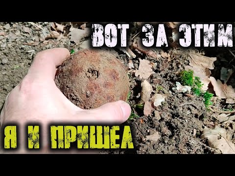 Видео: Уже ради этой находки стоило приехать.