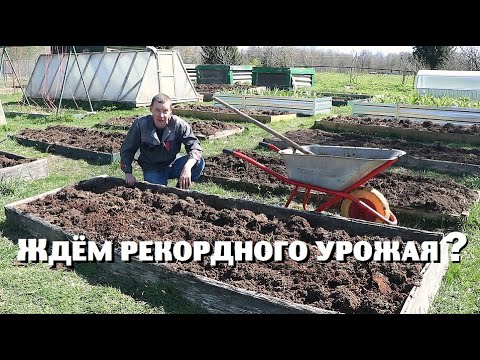 Видео: Сделали всё для небывалого урожая овощей !