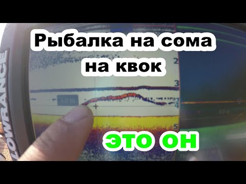 Видео: Рыбалка на сома весной 2022. ловля сома на квок на реке.