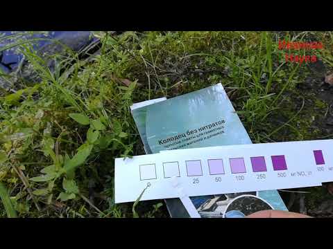 Видео: Ряска и тина - большие друзья огородника