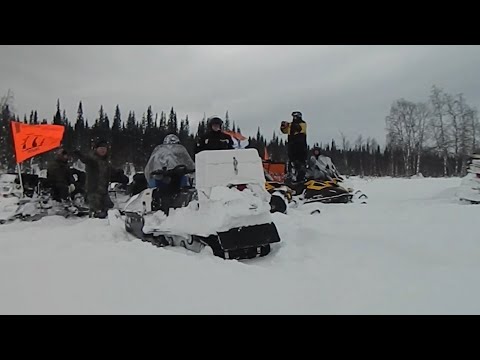 Видео: Экспедиция ИРБИС 2019