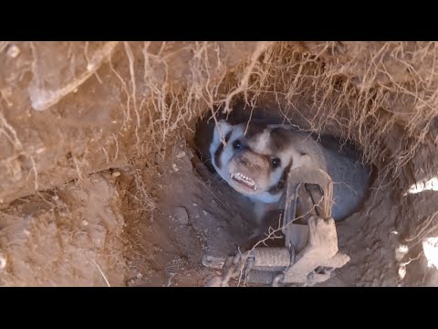 Видео: Эп 13 ЛБЛ «северная линия слэм-данк»