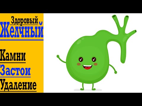 Видео: Твой ЗДОРОВЫЙ Желчный Пузырь - Камни и профилактика, Удаление, Застои Желчи, Перегибы, Жжение