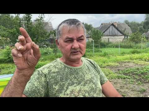 Видео: В гостях у матковода Киселёва Александра.