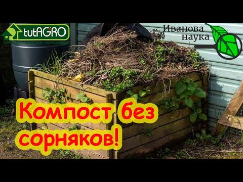 Видео: КОМПОСТ - ИСТОЧНИК СОРНЯКОВ! КАК ИЗБАВИТЬСЯ ОТ СОРНЯКОВ В КОМПОСТЕ НАВСЕГДА? Компост без сорняков.