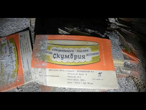 Видео: Заброшенный мир/ Кандалакшский рыбоконсервный завод