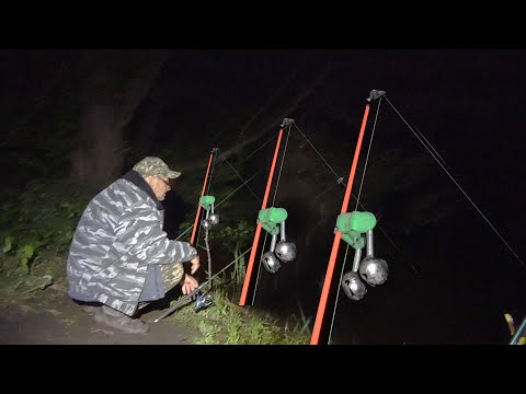 Видео: СОМ на ЖАРЕНОГО ВОРОБЬЯ и ЖАБУ... ЛУЧШАЯ НАСАДКА для ЛОВЛИ СОМА ЛЕТОМ!!! СНАСТЬ на СОМА 2023