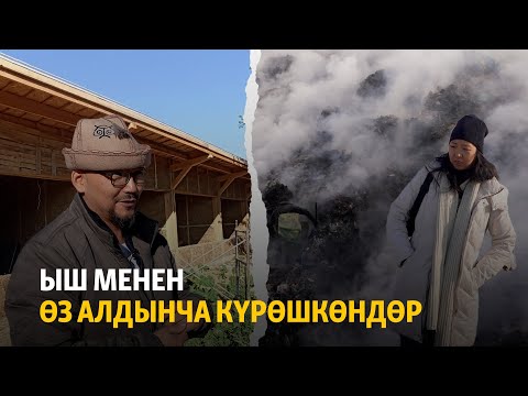 Видео: Ыш менен өз алдынча күрөшкөндөр