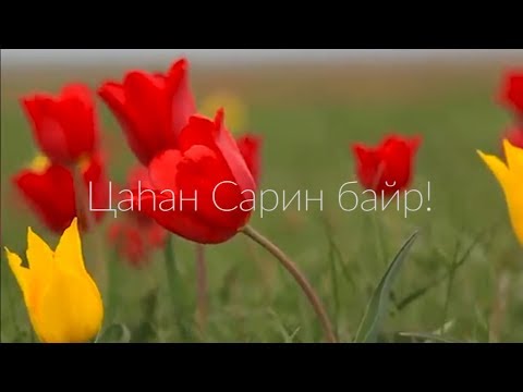 Видео: Цаһан Сар