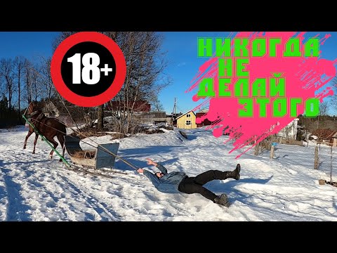 Видео: ГОНКА НА САНКАХ РУКИ В КРОВЬ!