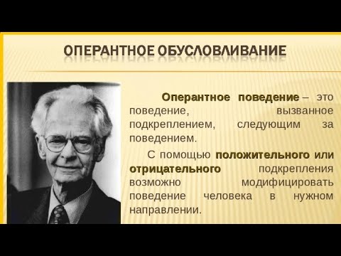 Видео: Гранит науки в прямом эфире!