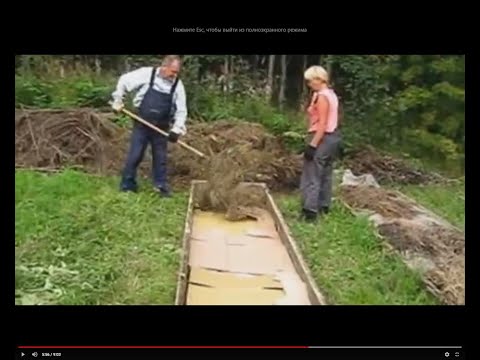 Видео: Правильные грядки