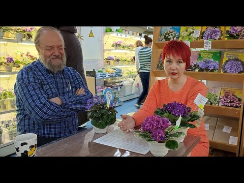 Видео: ДФ.Динамика развития селекции сенполий. Д.Лягина.