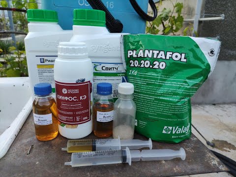 Видео: ВТОРАЯ ОБРАБОТКА ВИНОГРАДА! 🍇🍇🍇 ТЕЛ.+79054033245, WhatsApp и Viber +79528500417.