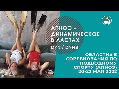 Видео: Областные соревнования по фридайвингу | апноэ динамическое в ластах, в классических ластах