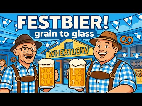 Видео: Festbier зерно в бокал