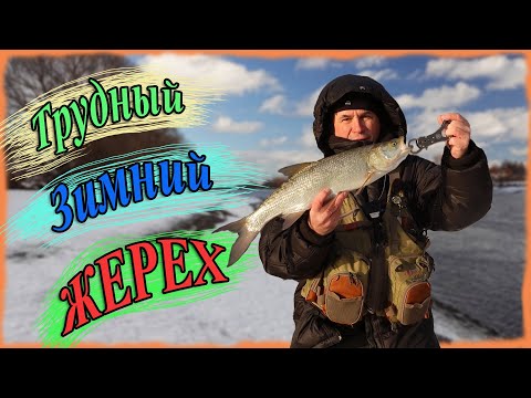 Видео: Трудный зимний жерех. Жерех на спиннинг зимой