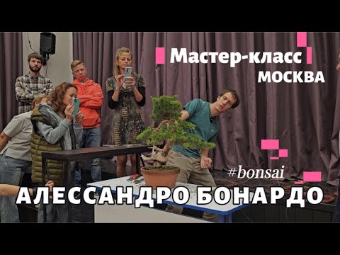 Видео: Мастер класс Алессандро Бонардо / формирование Можжевельника Итоигава