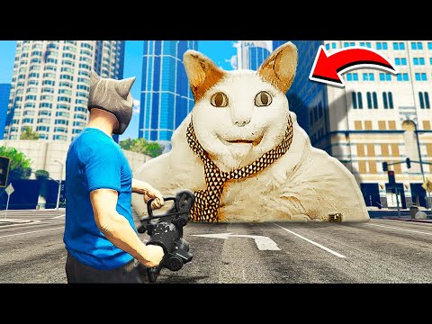 Видео: БУ ИСПУГАЛСЯ НЕ БОЙСЯ В ГТА 5! НАШЁЛ СТРАШНОГО КОТА БУ В GTA 5!