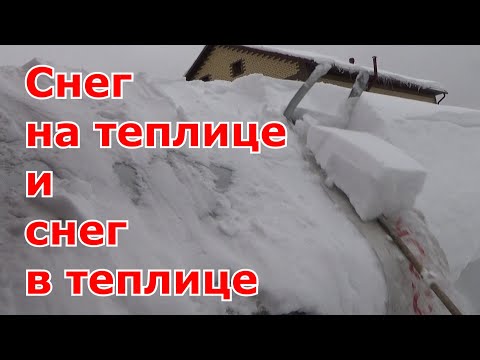 Видео: Снег на теплице и снег в теплице. Убирать ли снег с теплицы? Закидывать ли снег в теплицу?