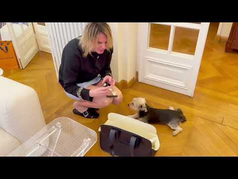 Видео: Распаковка от Hermes, Louis Vuitton, Zara Home