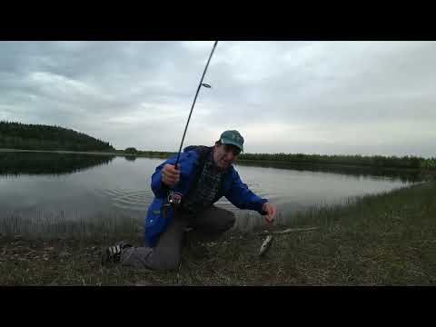 Видео: Давно я так не ловил рыбу.Отличная рыбалка на  затопленном каръере.