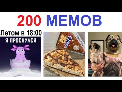 Видео: 200 МЕМОВ. Лунтик проснулся после тусы #приколы  #юмор  #мемы