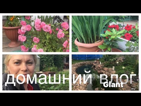 Видео: VLOG:УБОРКА В ДОМЕ.РЕЦЕПТ КВАСА НА РЖАНОЙ МУКЕ.ГОТОВЛЮ КЛУБНИЧНЫЙ ДЖЕМ
