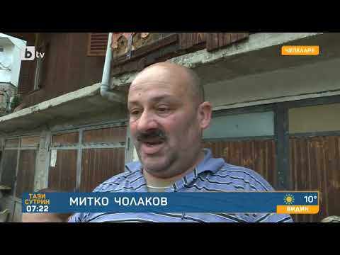 Видео: Тази сутрин: Мечка по улиците в Чепеларе: Тя не се изплашила нито от пиратки, нито от кучета