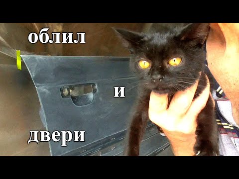 Видео: С покраской и перекраской всё