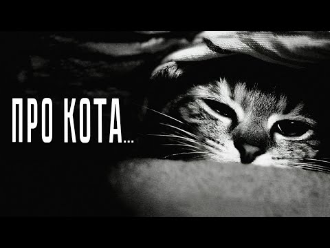 Видео: Дослушав эти стихи, вы не сможете сдержать слез...